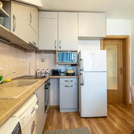 Lägenhet 1bdrm Downtown *