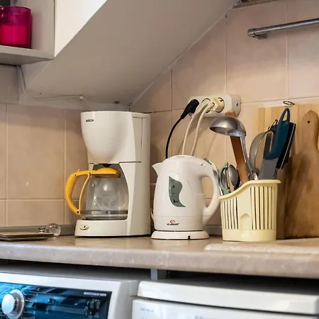 1bdrm Downtown 아파트 *