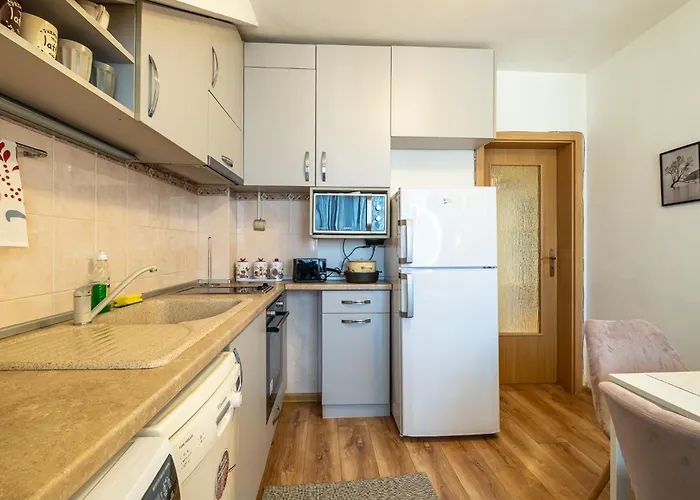 Lägenhet 1bdrm Downtown *