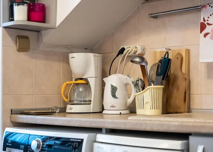 1bdrm Downtown Lägenhet *